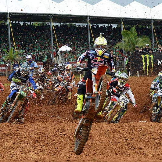 Cairoli-brazil