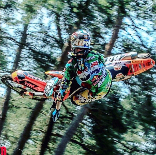 Herlings