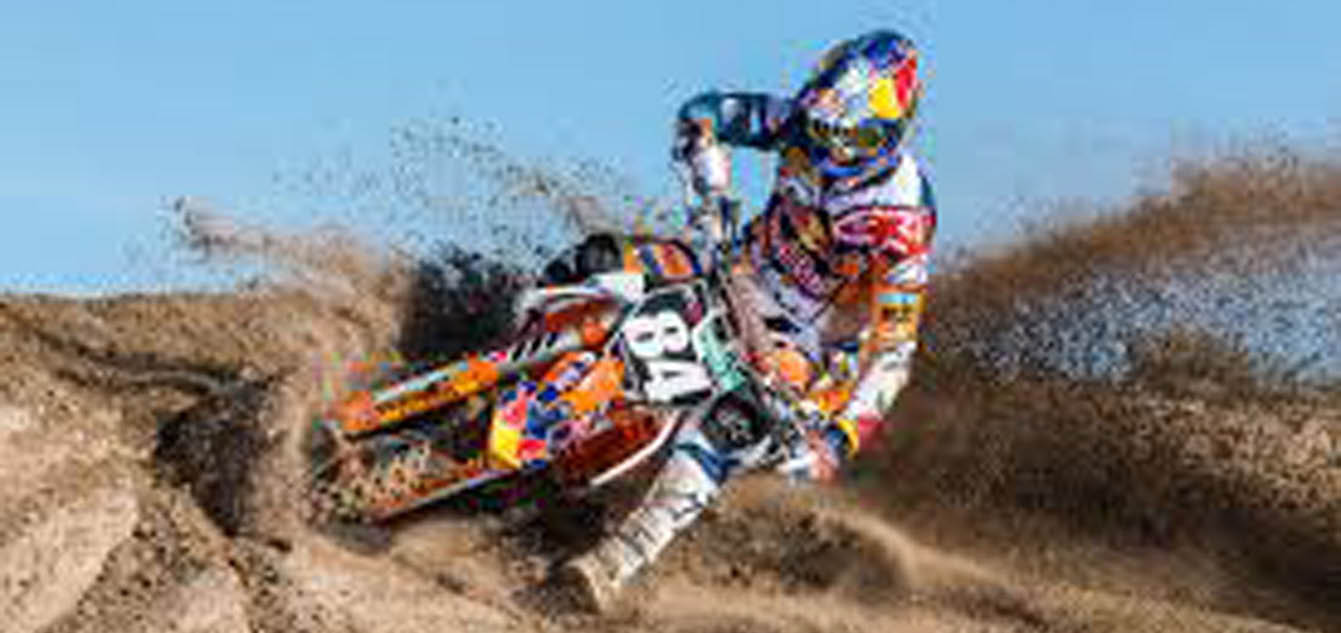 Herlings