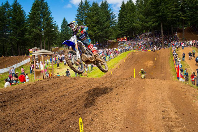 Alex Martin