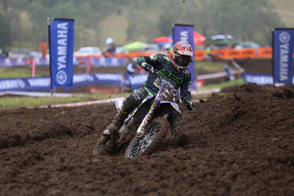 Mitch Evans