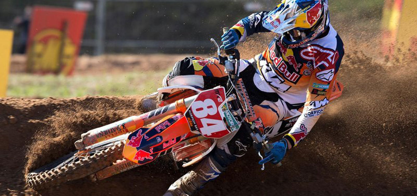 Herlings