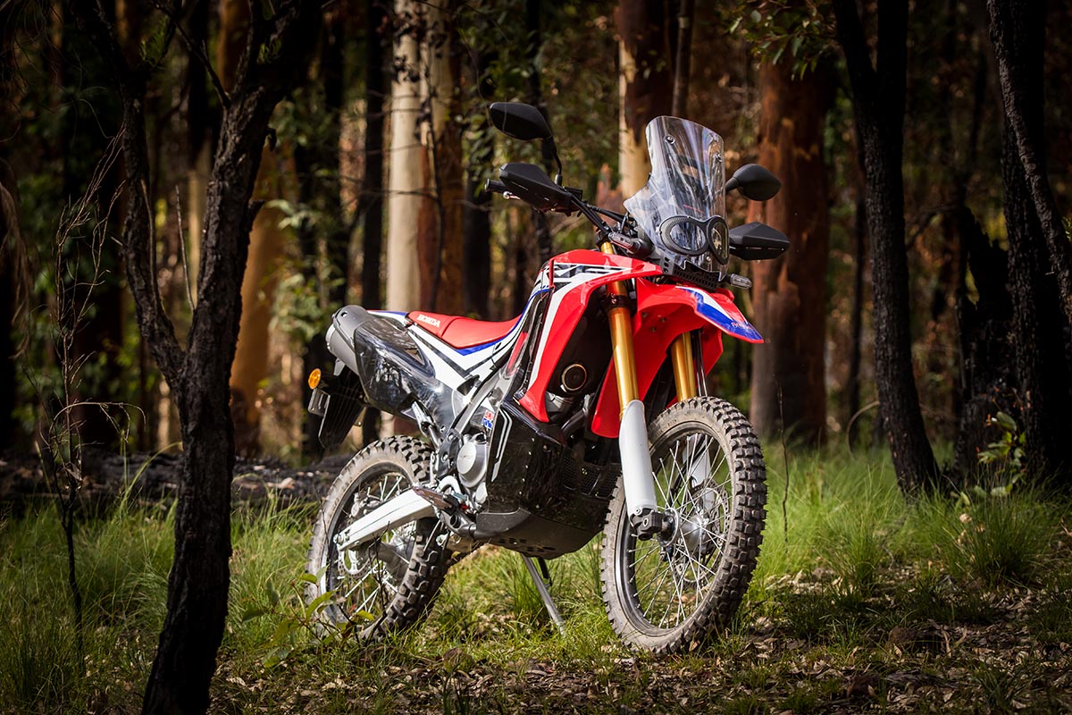 Honda crf rally. Honda CRF 250 Rally. Honda crf300l Rally. Crf250l Rally. Honda crf250l 2022.