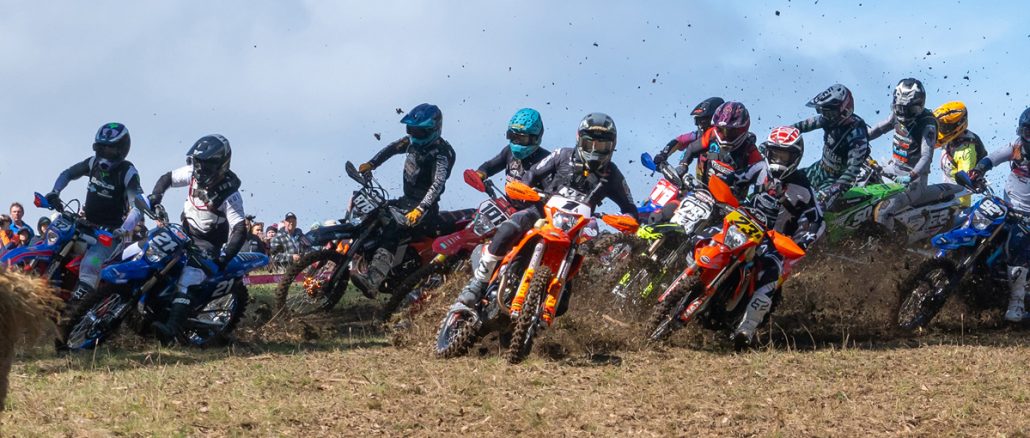 Pro Start