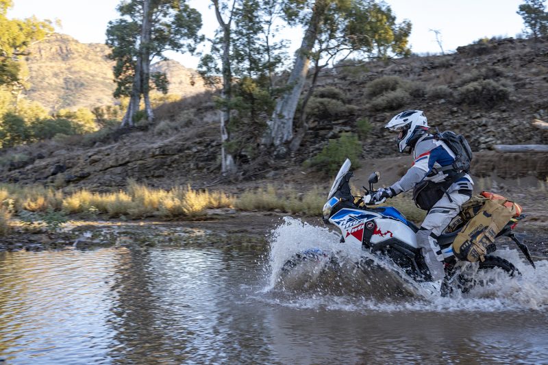 Dan258 Moto Mules 014