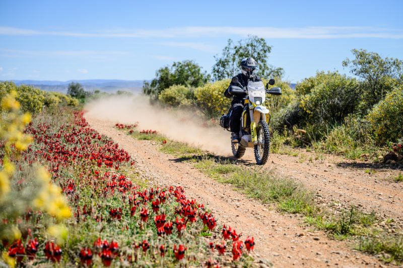 2026 Husqvarna Trek Flinders Ranges 12